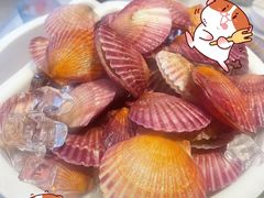 -龍歌自助小火锅(漳州二路爱购店)