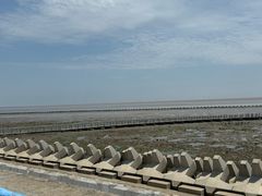 -南汇嘴观海公园