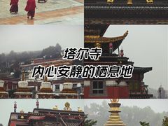 -塔尔寺