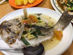 -金龙酒家