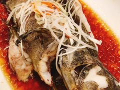 -双井轩(双井店)