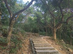 -黄埔油麻山森林公园