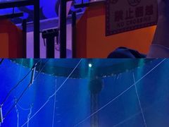 -泉城欧乐堡梦幻世界