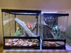 -Rabbit Cafe私房西餐甜点咖啡(栖霞路店)