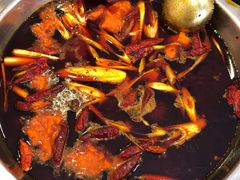 -金鼎雪山牦牛杂火锅(理县总店)