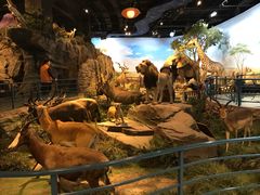 -陕西自然博物馆