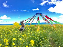 -青海湖国家重点风景名胜区