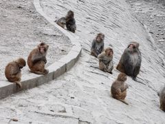 -哈尔滨北方森林动物园