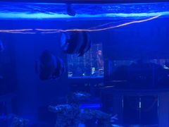 -上和臻品中国菜(花园街店)