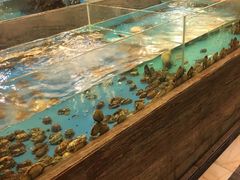 -翠清酒家(万丰路店)