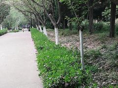 -西安交大南洋大酒店(交通大学青龙寺店)