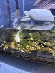 -Zoolung Zoolung动物主题公园(海信广场店)