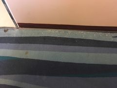 脏脏的地毯-合肥包河万达包公园地铁站锦江都城酒店