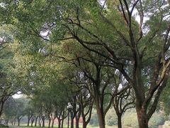 -西郊宾馆·1921餐厅