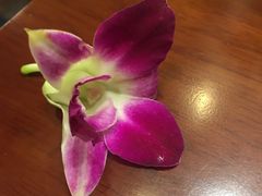 -荷花泰菜(东方新天地店)