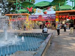 -松山湖梦幻百花洲