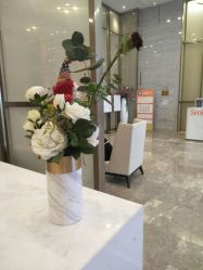 -成都艾特他整形外科医院