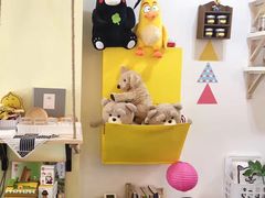 -阿狗圆子