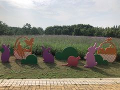 -同里国家湿地公园