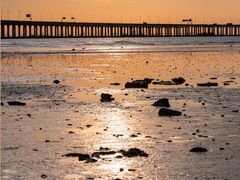 -宝安西湾红树林湿地公园