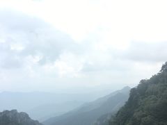 -牛背梁国家森林公园