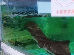 -天怡·鱼工厂(梅溪湖店)