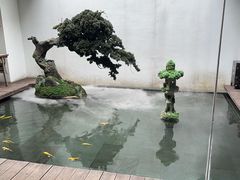 -觀芷隐轩