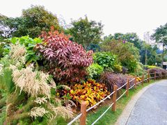 -顺峰山公园