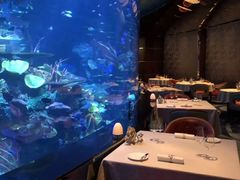 -迪拜帆船酒店海底餐厅