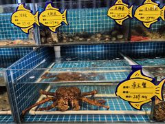 -韩记海鲜饺子旗舰店(红海新区店)