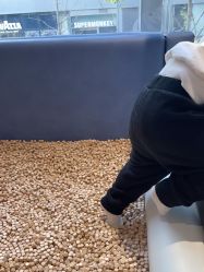 -奈尔宝家庭中心·亲子餐厅(前滩店)