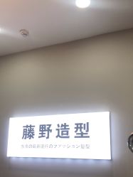 -藤野造型