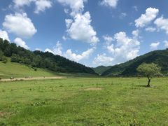 -关山草原