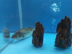 -怡咖啡·自助餐·西安香格里拉