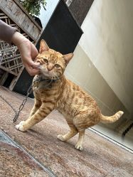 -深圳春天阳光医院·轮廓抗衰中心