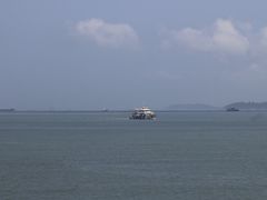 -演武大桥观景平台