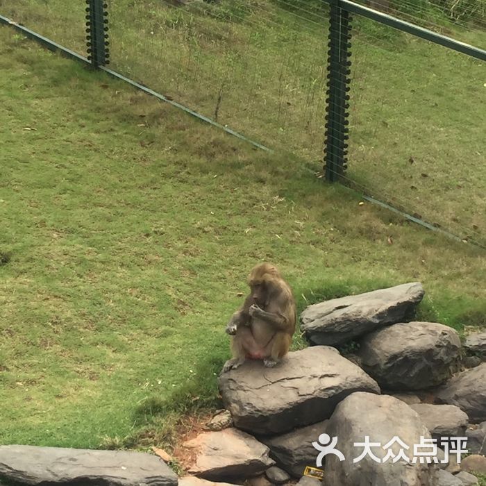 長沙生態動物園