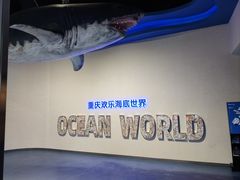 -重庆欢乐海底世界