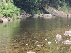 -北仑森林植物园
