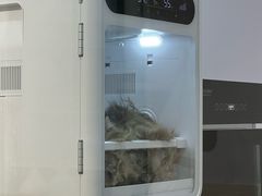 -小呆的宠物店·宠物售卖·宠物寄养(城西店)