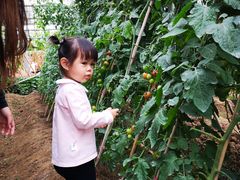 -迪茵湖田家舍生态农场