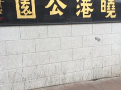 -晓港公园