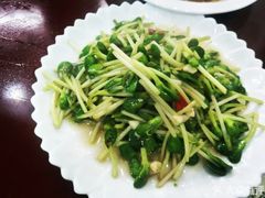 -全乐鱼馆·淳牌有机鱼直营店