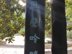 -潜山国家森林公园