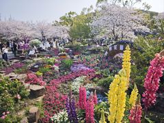 -苏州上方山国家森林公园