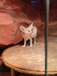 -Zoolung Zoolung动物主题公园(海信广场店)