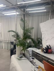 -BOF HAIR BY HONTO