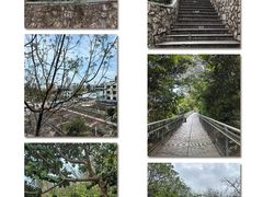 -佛山华盖山公园