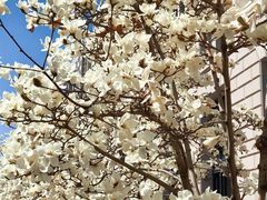 -锦什坊街叁拾伍号大厦