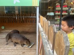 -廊坊固安福朋喜来登酒店